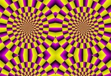 Cách não đánh lừa cơ thể mà ta không biết