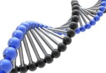 Trí thông minh không chỉ do di truyền