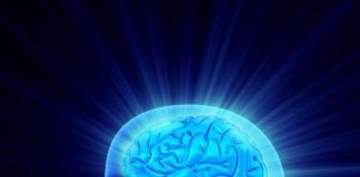 Phương pháp ‘đọc não’ mới