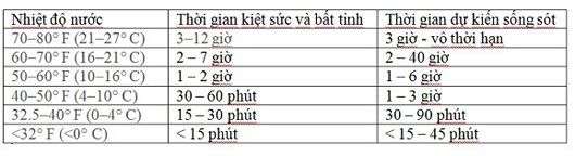 Bí kíp thoát thân khi tàu thuyền bị chìm giữa biển