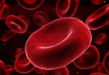 Những điều rùng rợn ít ai biết về máu