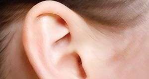 Xác định danh tính của một người nhờ vào đôi tai