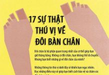 17 sự thật ít biết về bàn chân