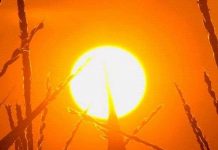 Phát hiện những phân tử giúp đo hoạt động ở lõi Mặt Trời