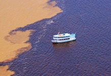 Dòng sông có hai màu nước không hòa lẫn ở Brazil