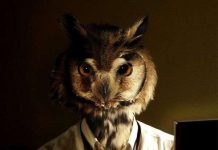 Lời giải khoa học cho các lầm tưởng "xưa như Trái đất" trong cuộc sống