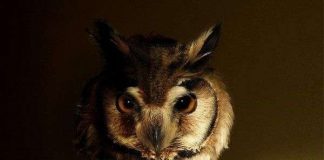 Lời giải khoa học cho các lầm tưởng "xưa như Trái đất" trong cuộc sống