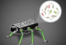 Robot thám hiểm sử dụng điện năng được tạo ra bởi vi khuẩn