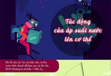 Tác động của áp suất nước lên cơ thể như thế nào?