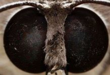 Phương pháp làm tăng hiệu suất pin mặt trời