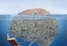 Con người có thể giải toán trong vô thức