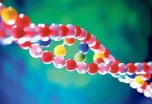 Con nhận di truyền từ cha nhiều hơn mẹ