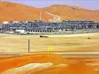 Nhật phát triển kỹ thuật giúp rễ mọc nhanh gấp 3 lần