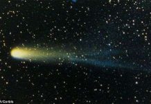 Phát hiện sao chổi Halley từng gây ra bệnh dịch kinh hoàng