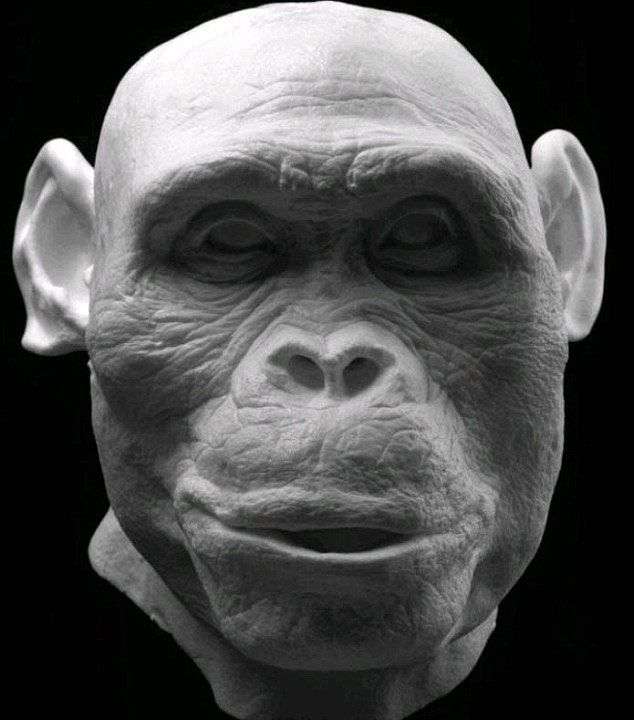 Tái tạo khuôn mặt của người 7 triệu năm trước