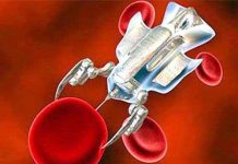 Năm 2045: Loài người sẽ được bất tử?