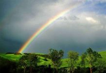 Mùi dễ chịu sau cơn mưa từ đâu mà có?