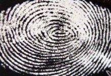 Kỹ thuật mới phát hiện dấu vân tay Kỹ thuật mới phát hiện dấu vân tay