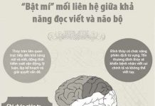 Mối liên hệ giữa khả năng đọc viết và não bộ