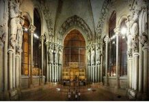 Biến người thành dơi