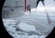 Bắc cực sẽ không còn băng vào mùa hè