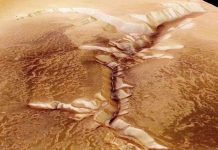 Tiết lộ sự thật về người ngoài hành tinh có từ 100 năm trước Tiết lộ sự thật về người ngoài hành tinh có từ 100 năm trước