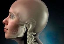 Ý thức con người liệu có tồn tại khi đầu lìa khỏi cổ?