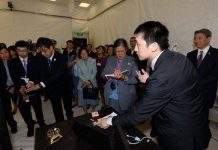 Người Việt chế robot sống nhỏ nhất thế giới