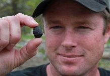 Tìm thấy mẫu thiên thạch rơi ở Mỹ