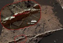 Những nơi trong hệ Mặt Trời có thể chứa sự sống ngoài hành tinh