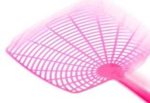 Tại sao khó đập được ruồi?