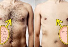 Sự thật bất ngờ: nam giới lông càng nhiều thì càng thông minh