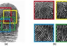 Phát triển vân tay "vạn năng", mở khóa mọi điện thoại