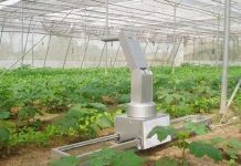 Robot phun thuốc cho cây trồng