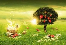 Lời giải cho giấc mơ "ma mị" lúc trăng tròn