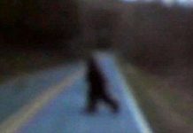 Xuất hiện quái vật Bigfoot ở Mỹ?