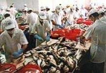 Biến mỡ cá thành dầu diesel sinh học