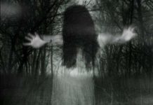 Quái vật, ma quỷ và thần thánh: Tại sao chúng ta lại tin? (Phần II)