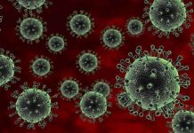 Phát hiện các chủng virus H5N1 bằng 1 xét nghiệm