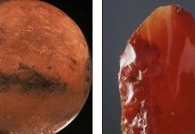 Ngọc sao Hỏa chứa hóa thạch sinh vật ngoài hành tinh? Ngọc sao Hỏa chứa hóa thạch sinh vật ngoài hành tinh?
