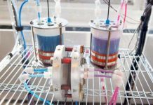 Chế tạo pin sạc có nguồn gốc từ thực vật