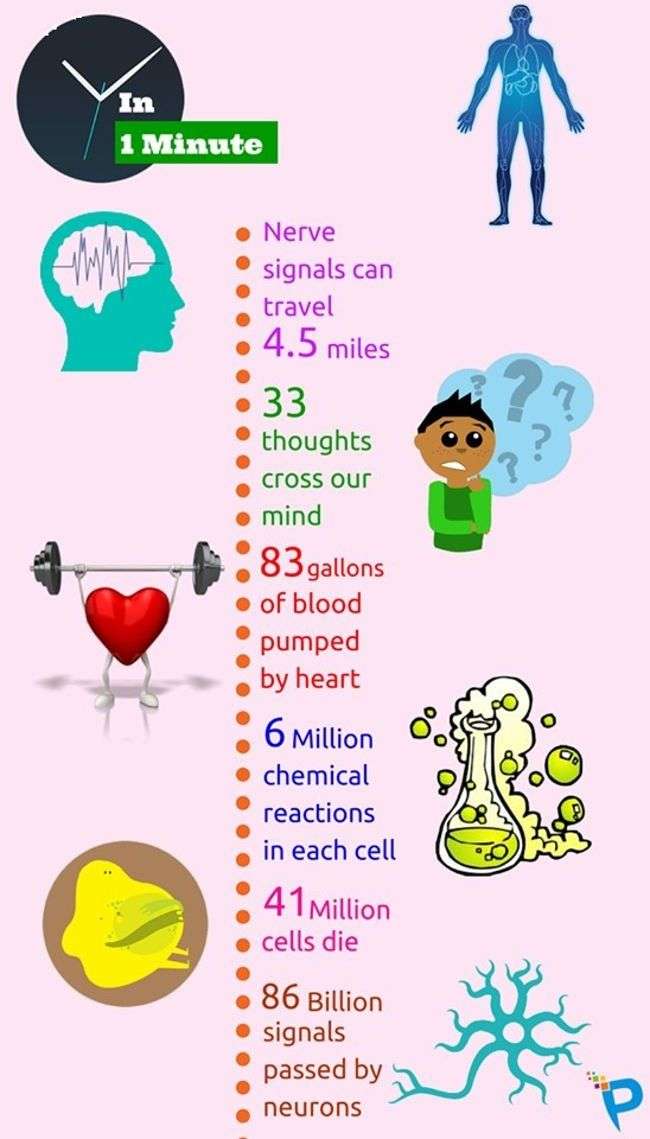 Điều gì sẽ xảy ra trong một phút?