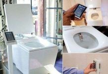 Toilet công nghệ cao, giá 6.300 USD