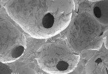 Loại thủy tinh mới có thể phân huỷ và tiết canxi vào trong cơ thể