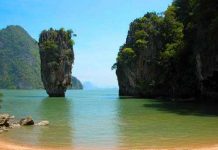 Phong cảnh tự nhiên khiến não hoạt động tốt hơn