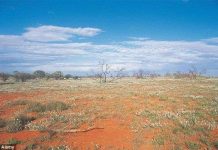 Dùng Google Earth để tìm mỏ vàng khủng Dùng Google Earth để tìm mỏ vàng khủng