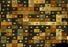 Khám phá thế giới các loại trứng kỳ lạ