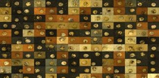 Khám phá thế giới các loại trứng kỳ lạ