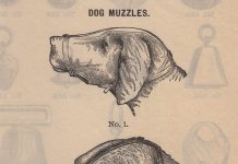 Hóa ra luật bắt rọ mõm cún cưng khi ra đường đã xuất hiện từ thời cổ đại