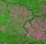 Rừng Amazôn bị tàn phá nặng nề